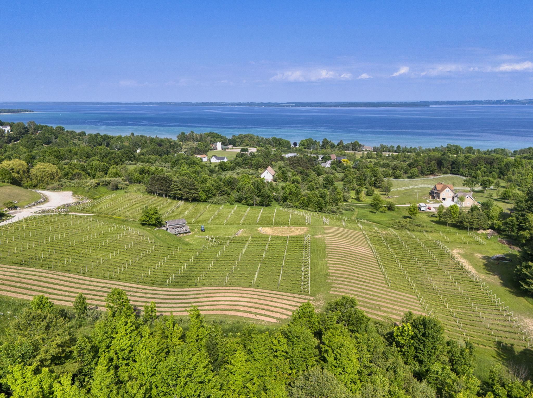 10702 East Hilltop Road Suttons Bay, MI 49682 - Photo 85 of 92