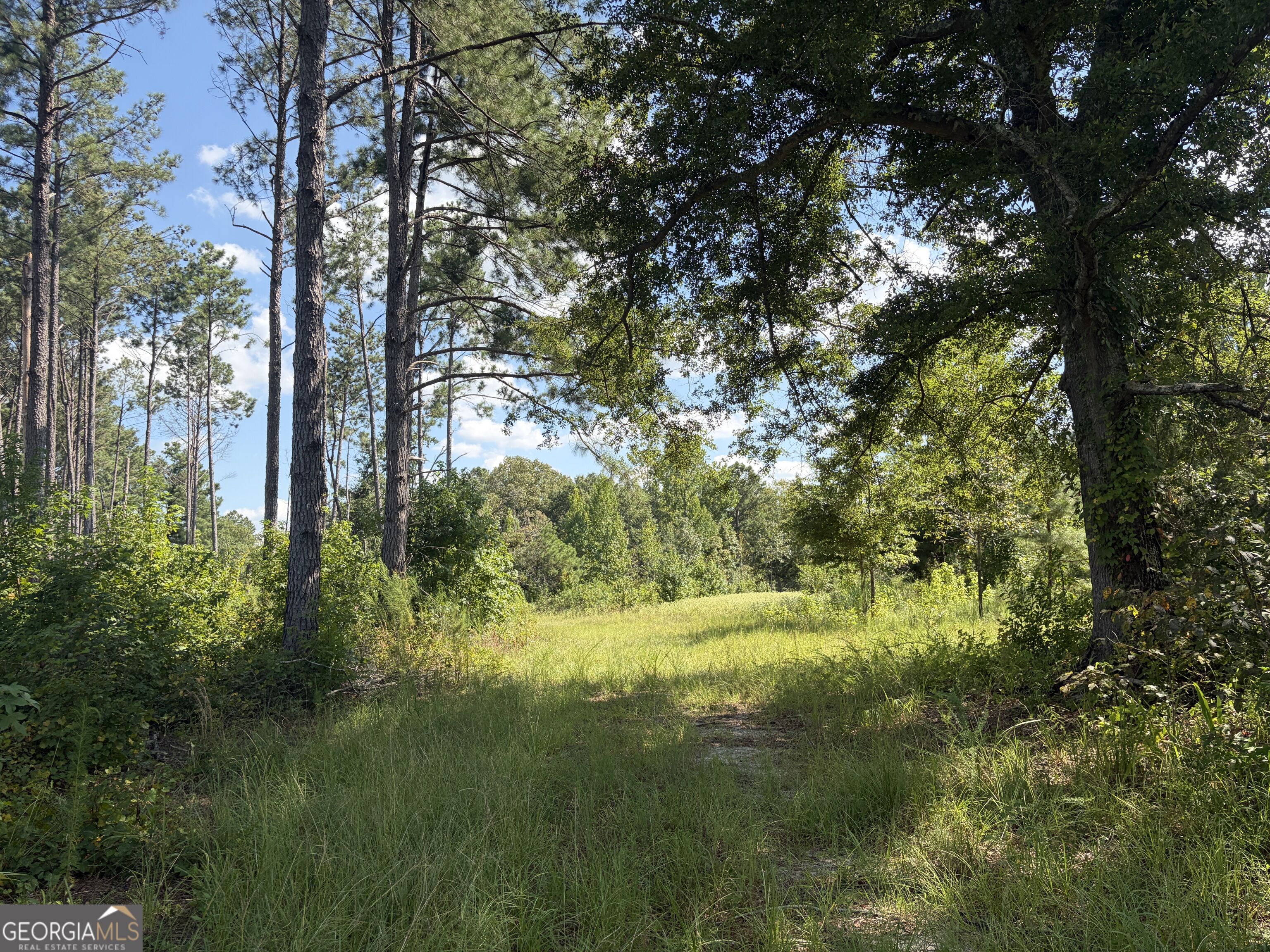7 Sunhill Grange Road Sandersville, GA 31018 - Photo 9 of 33 Gallery Image 9