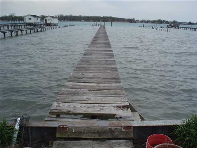 5035 Pointe Tremble Road Algonac, MI 48001 - Photo 5 of 30 31101856-4.JPG