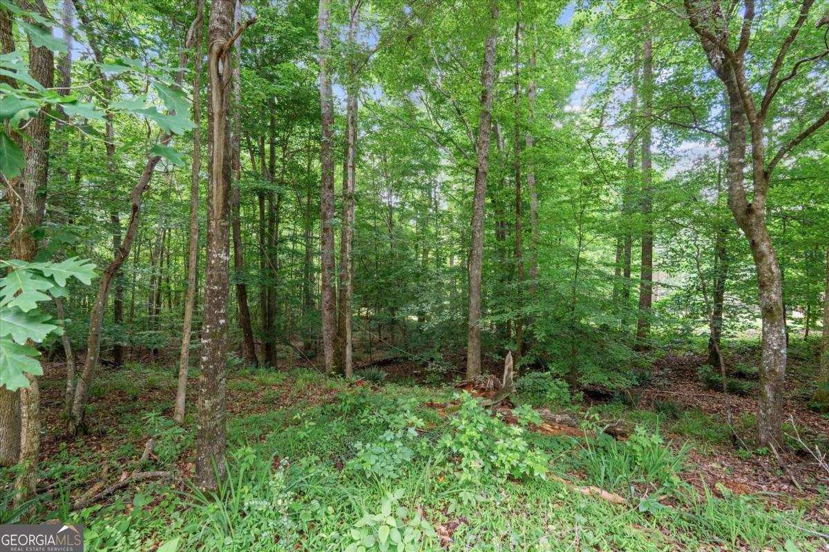 620 Old 4 Notch Road Whitesburg, GA 30185 - Photo 45 of 48