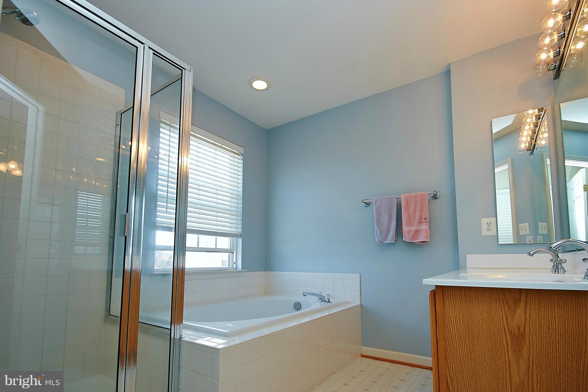 9639 Innerwick Place Bristow, VA 20136 - Photo 17 of 29 a bathroom with a tub sink and mirror