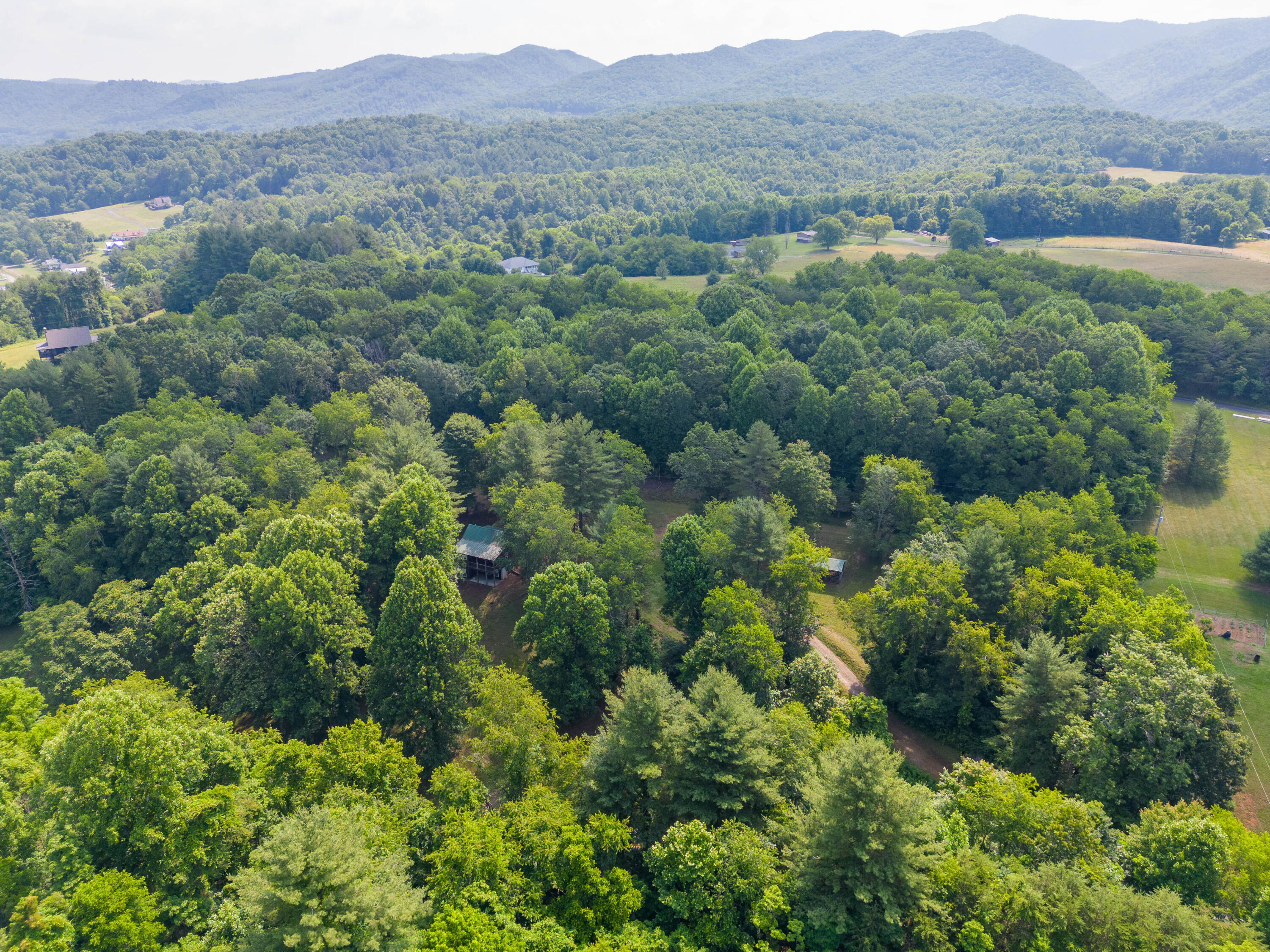 1454 Julia Simpkins Road Hiwassee, VA 24347 - Photo 45 of 70 hiwasee-45