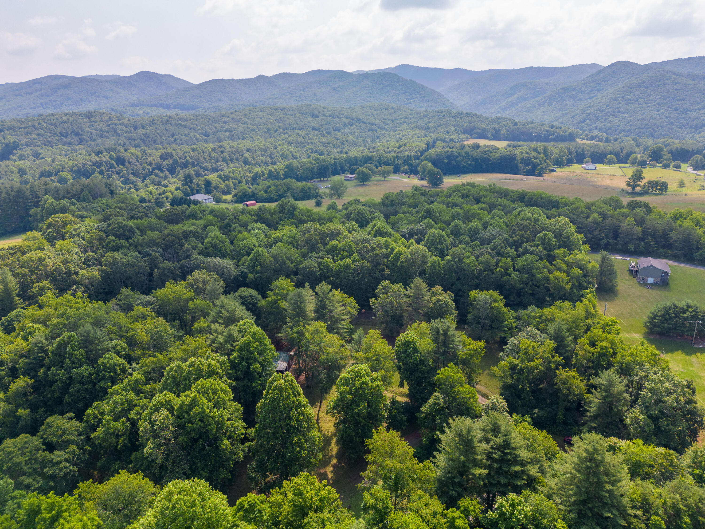 1454 Julia Simpkins Road Hiwassee, VA 24347 - Photo 46 of 70 hiwasee-46