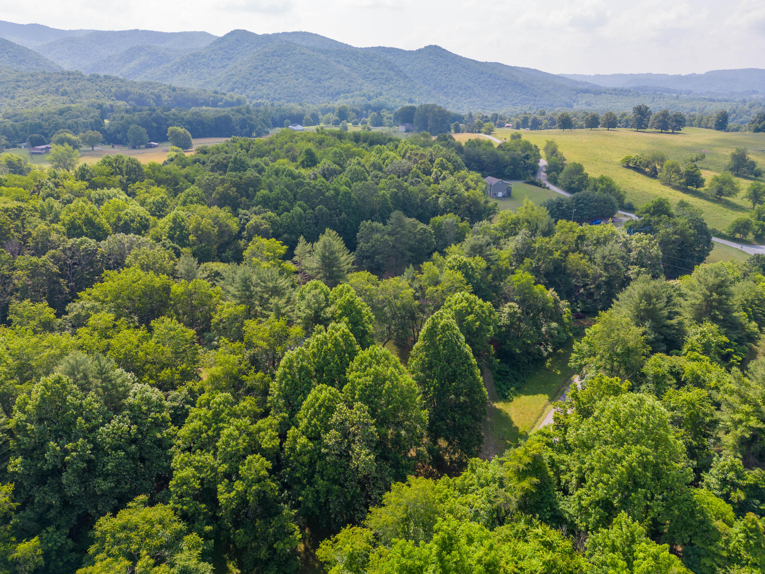 1454 Julia Simpkins Road Hiwassee, VA 24347 - Photo 47 of 70 hiwasee-47