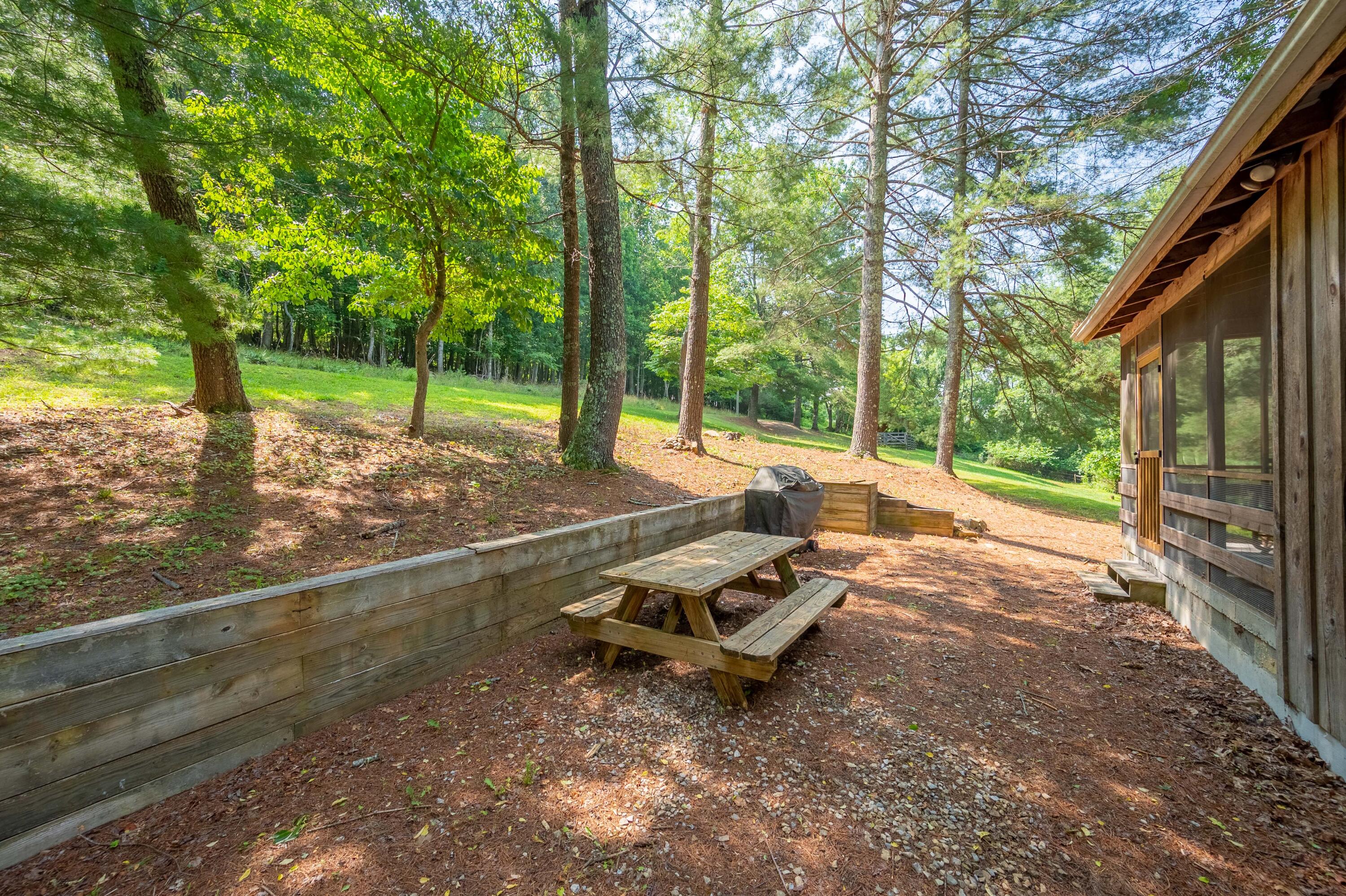 1454 Julia Simpkins Road Hiwassee, VA 24347 - Photo 53 of 70 hiwasee-53