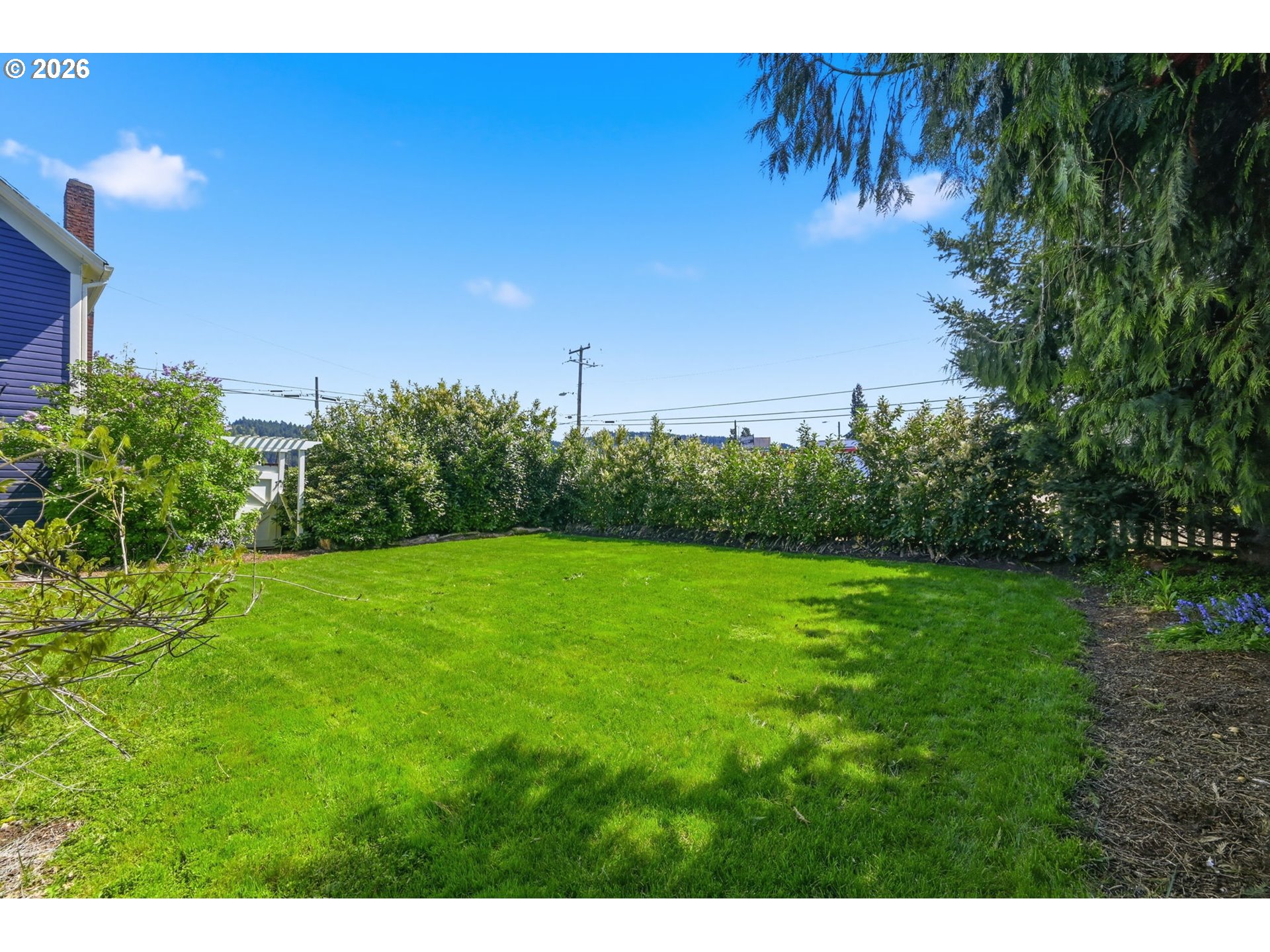349 South 6th Street Cottage Grove, OR 97424 - Photo 25 of 28 a view of a big yard with a large tree
