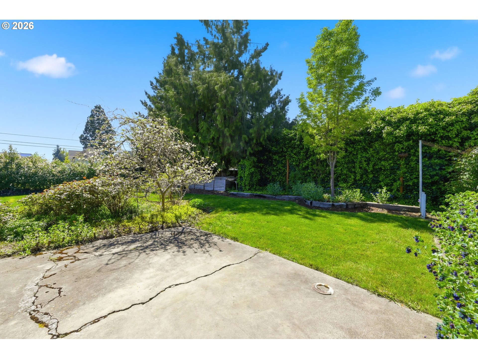 349 South 6th Street Cottage Grove, OR 97424 - Photo 27 of 28 a view of a backyard