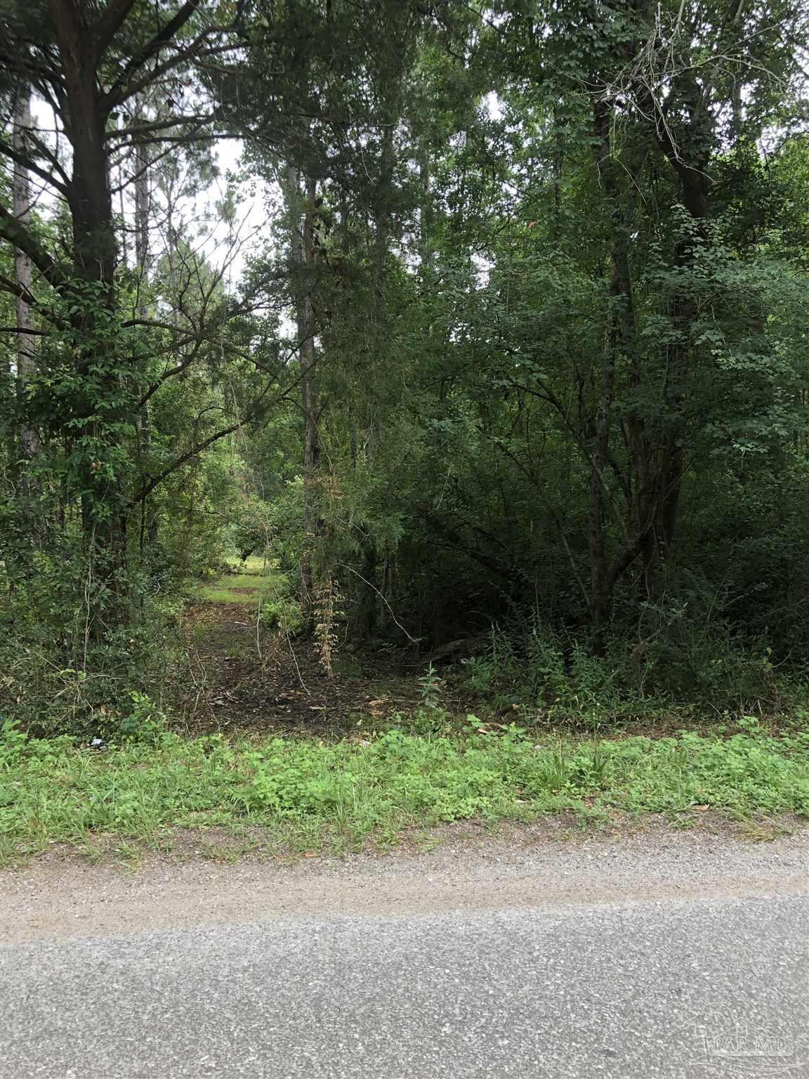 Lot 7 Virecent Road Cantonment, FL 32533 - Photo 1 of 8