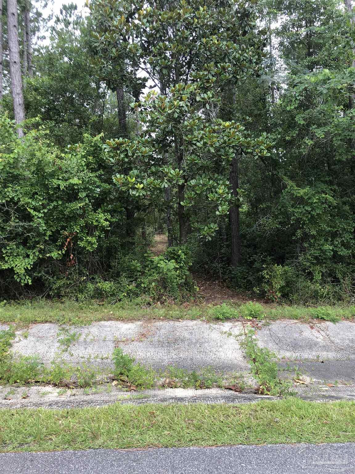 Lot 7 Virecent Road Cantonment, FL 32533 - Photo 7 of 8