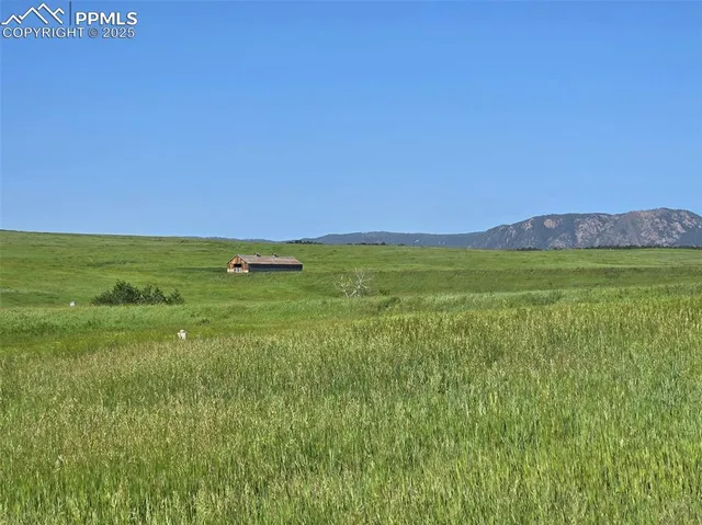 a view of an outdoor space and a yard