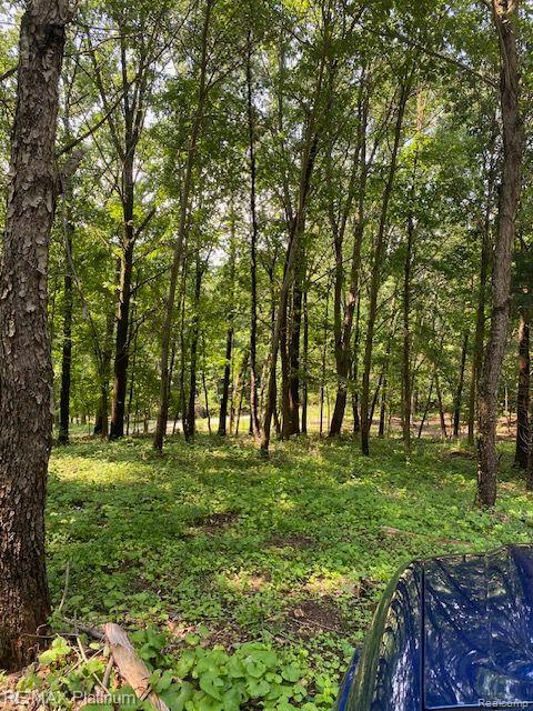 7 Sleaford-parcel 7 - 2 Acres Road Howell, MI 48843 - Photo 21 of 45
