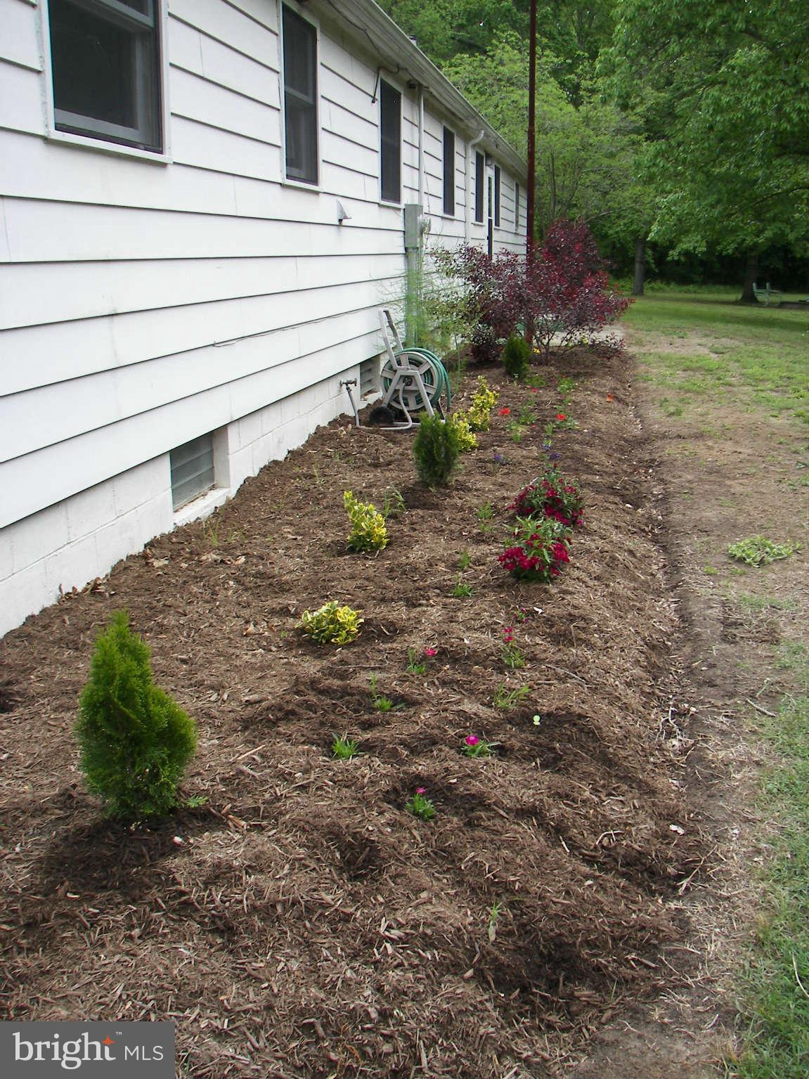 12615 Ridgely Road Greensboro, MD 21639 - Photo 22 of 30 Freshly landscaped beds