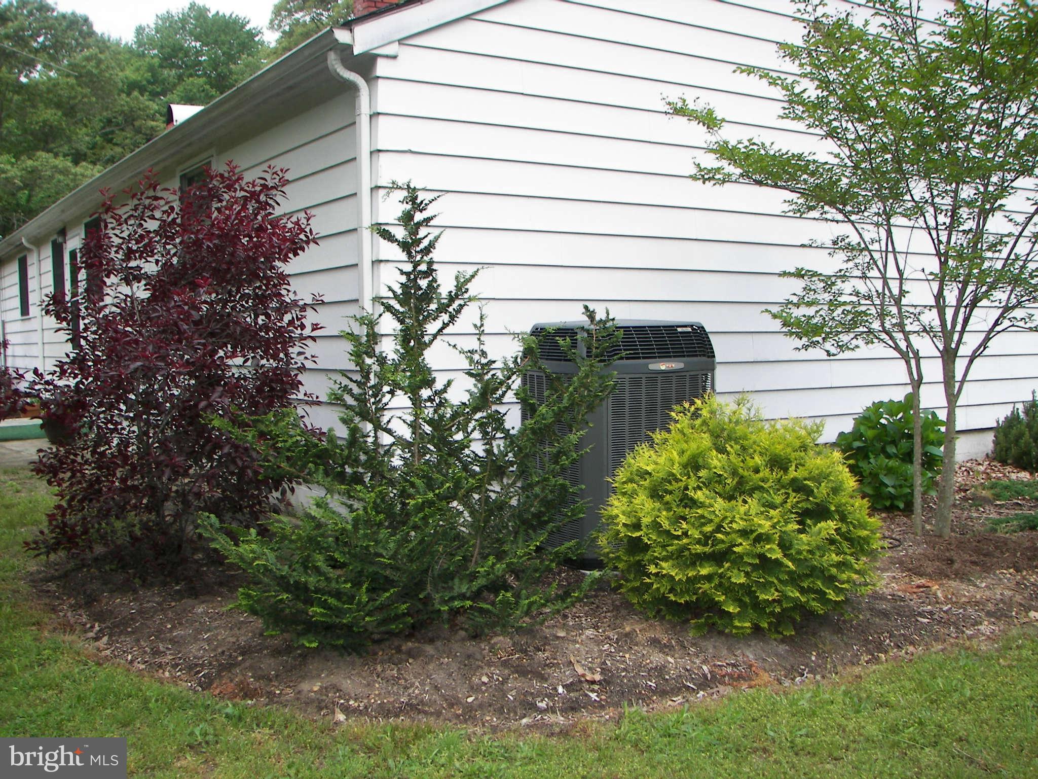 12615 Ridgely Road Greensboro, MD 21639 - Photo 24 of 30 Heat pump and landscaping