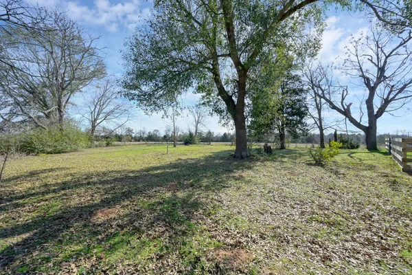 a view of a park with large trees