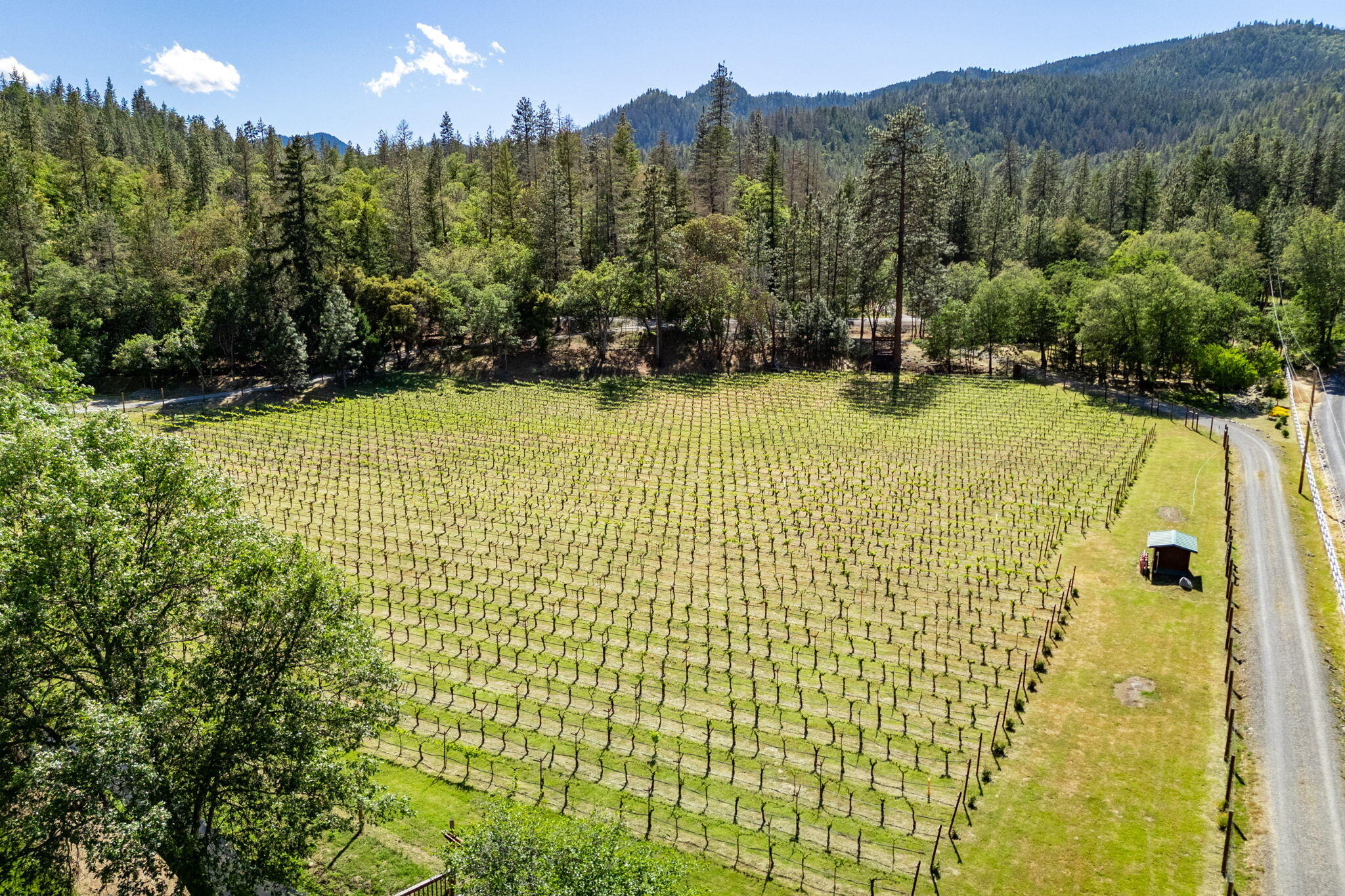 8127 Upper Applegate Road Jacksonville, OR 97530 - Photo 59 of 117 63