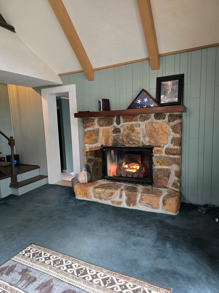 327 Alpine Crest Road Fancy Gap, VA 24328 - Photo 18 of 47 Gallery Image 18