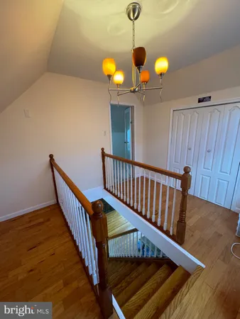 a view of staircase with a potted plant