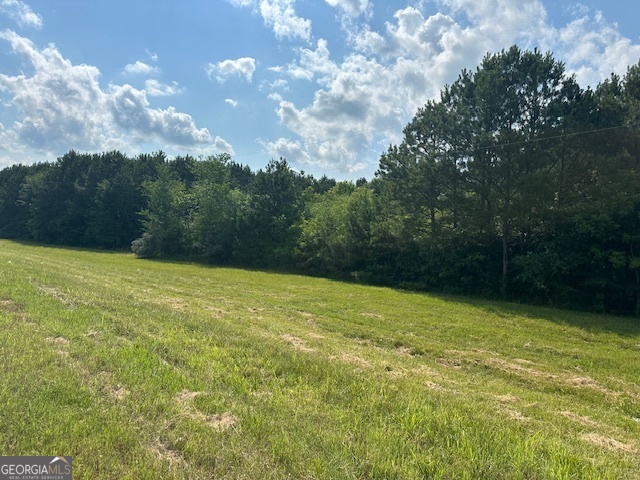 0 Highway 53 Rome, GA 30161 - Photo 1 of 1 a view of a field with an trees