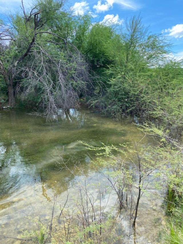 0 Fm 2523 Del Rio, TX 78840 - Photo 16 of 28