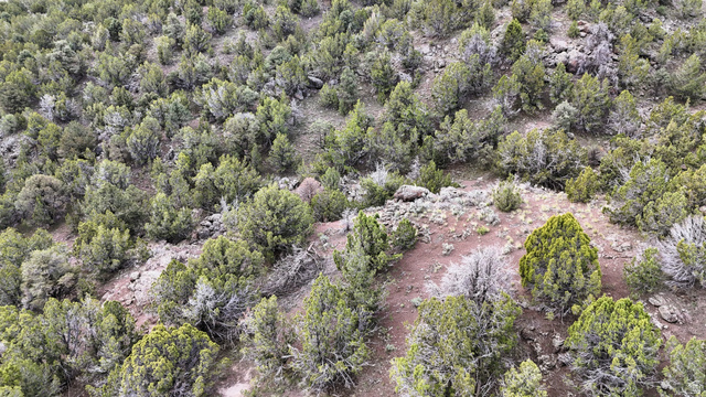 123 West Tbd Willow Spring Road Eureka, UT 84628 - Photo 32 of 60 Expansive natural landscape featuring varied topography with mature evergreen shrubs and scattered rock formations