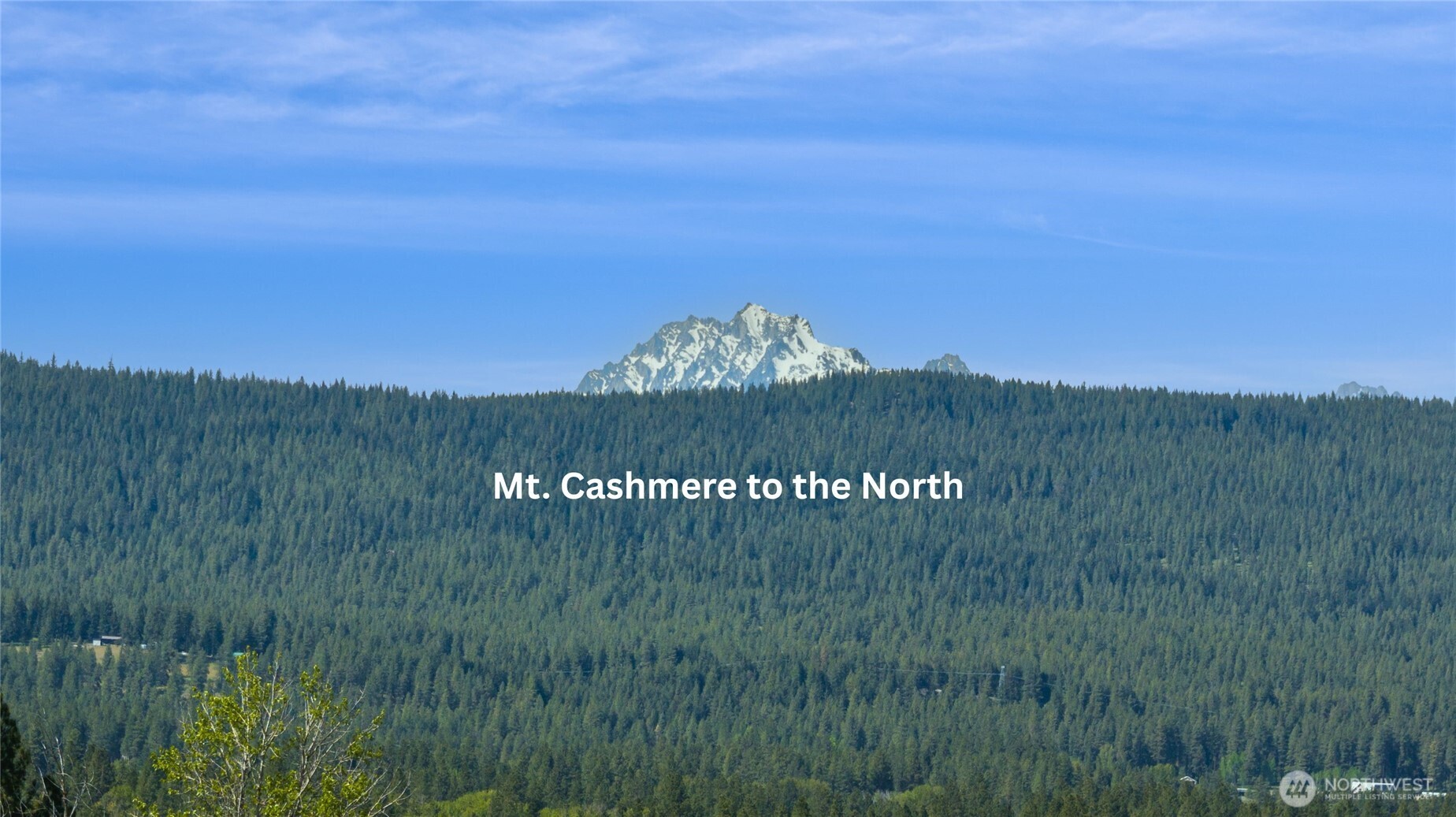 66-x4 Upper Peoh Point Road Cle Elum, WA 98922 - Photo 14 of 32 a view of a bunch of trees and bushes