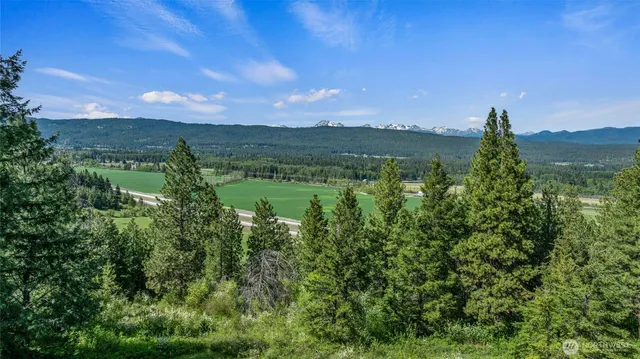 a view of a lush green forest with mountains in the background