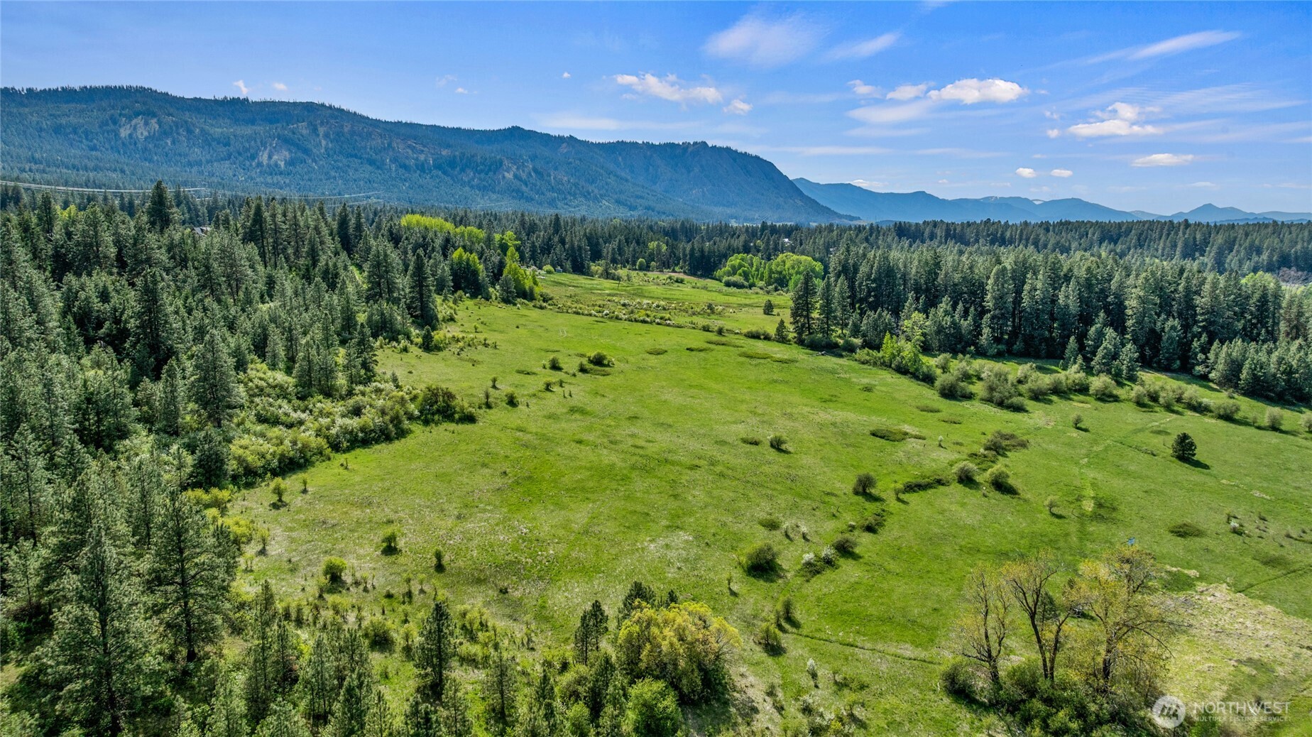 66-x4 Upper Peoh Point Road Cle Elum, WA 98922 - Photo 20 of 32 a view of a lush green hillside and a houses