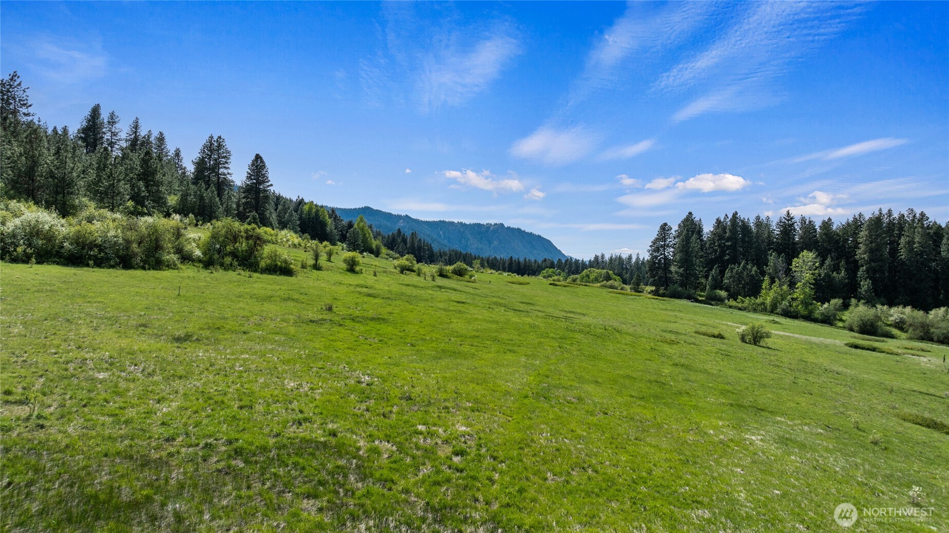 66-x4 Upper Peoh Point Road Cle Elum, WA 98922 - Photo 9 of 32 a view of a grassy field with trees in the background