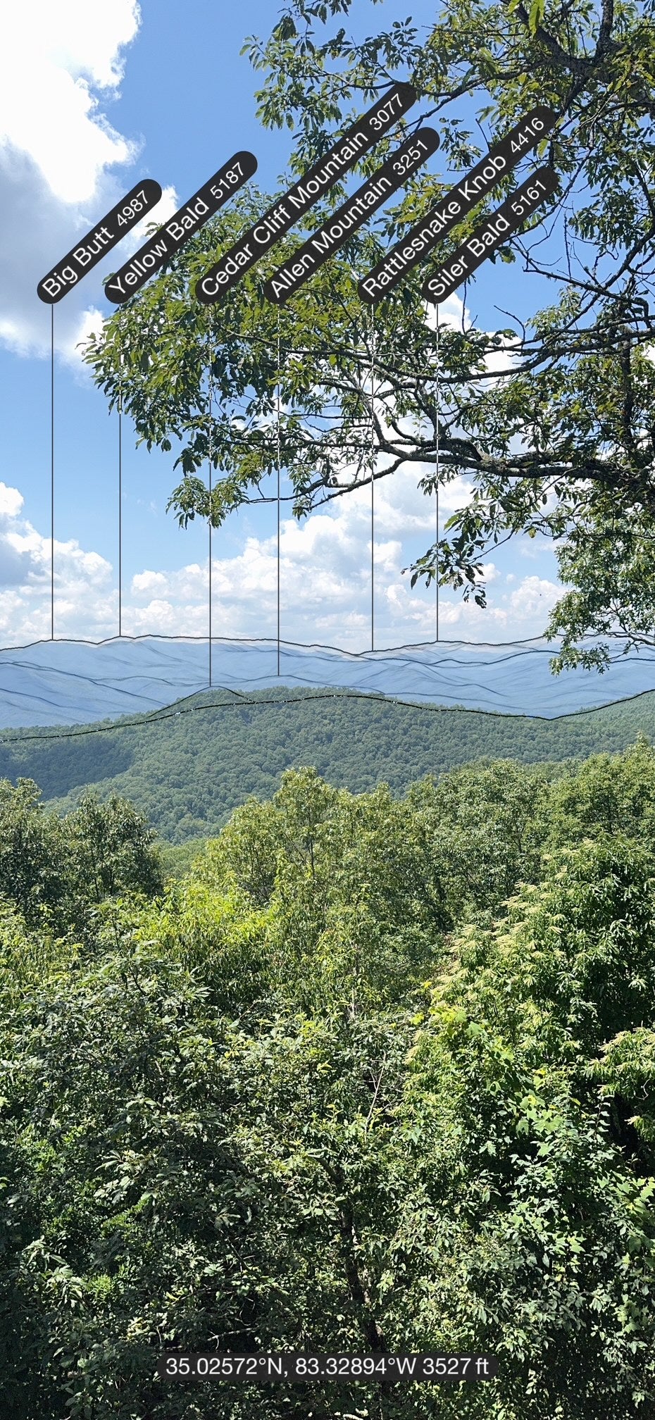 700 Silly Ridge Road Scaly Mountain, NC 28775 - Photo 11 of 41 Gallery Image 11