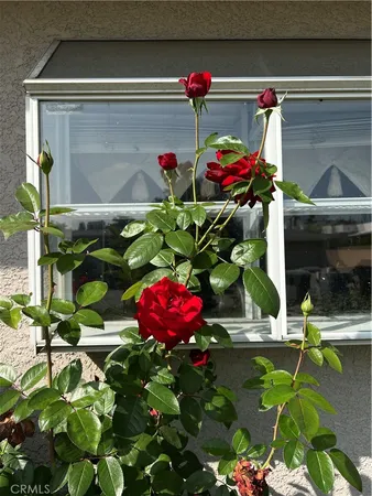 $5,950 | 2411 Briargate Lane, Arcadia, CA 91007