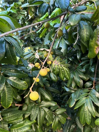 $5,950 | 2411 Briargate Lane, Arcadia, CA 91007