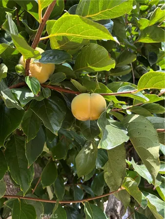 $5,950 | 2411 Briargate Lane, Arcadia, CA 91007