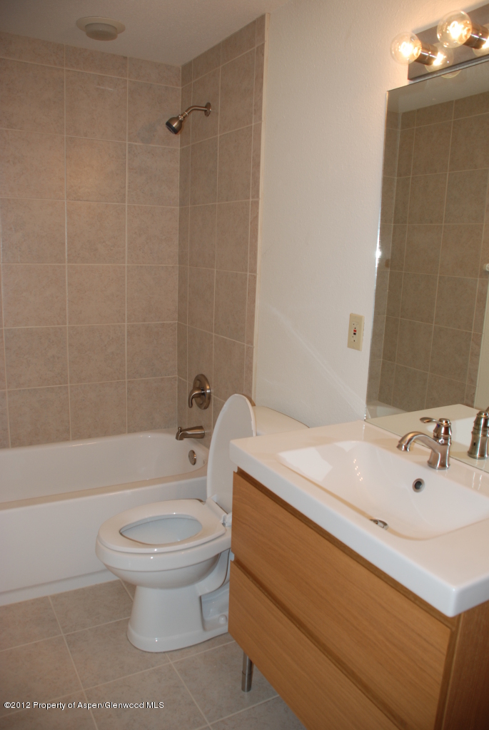 603 Wren Court Basalt, CO 81621 - Photo 18 of 20 Downstairs Guest Bath