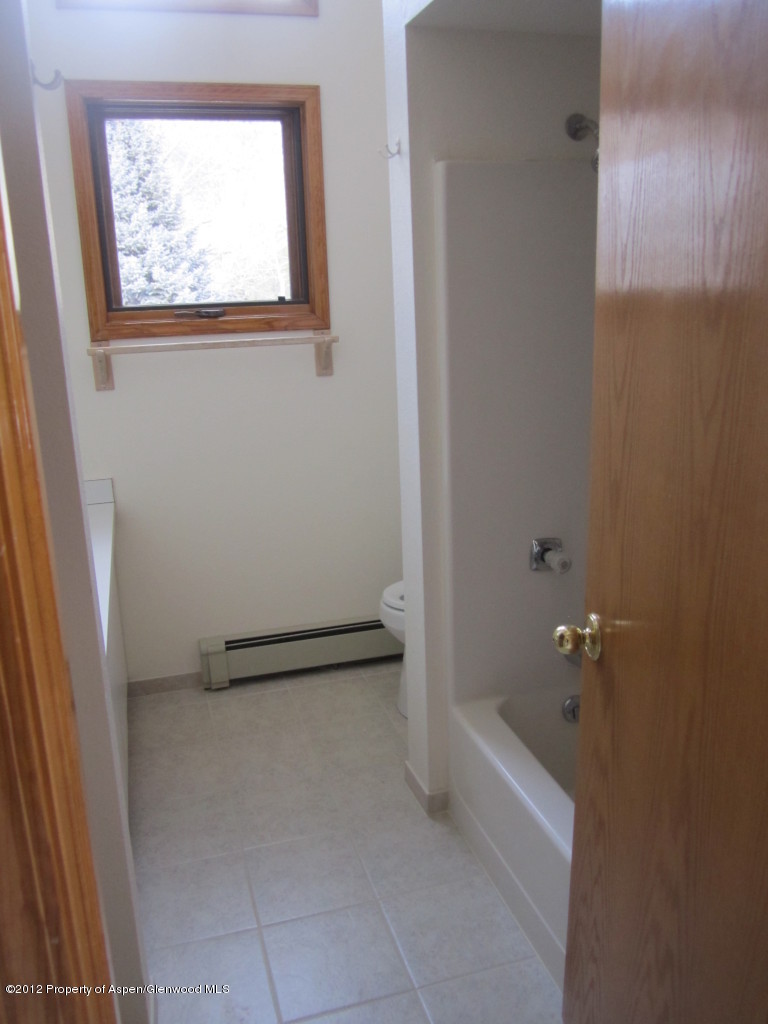 603 Wren Court Basalt, CO 81621 - Photo 9 of 20 Master Bath