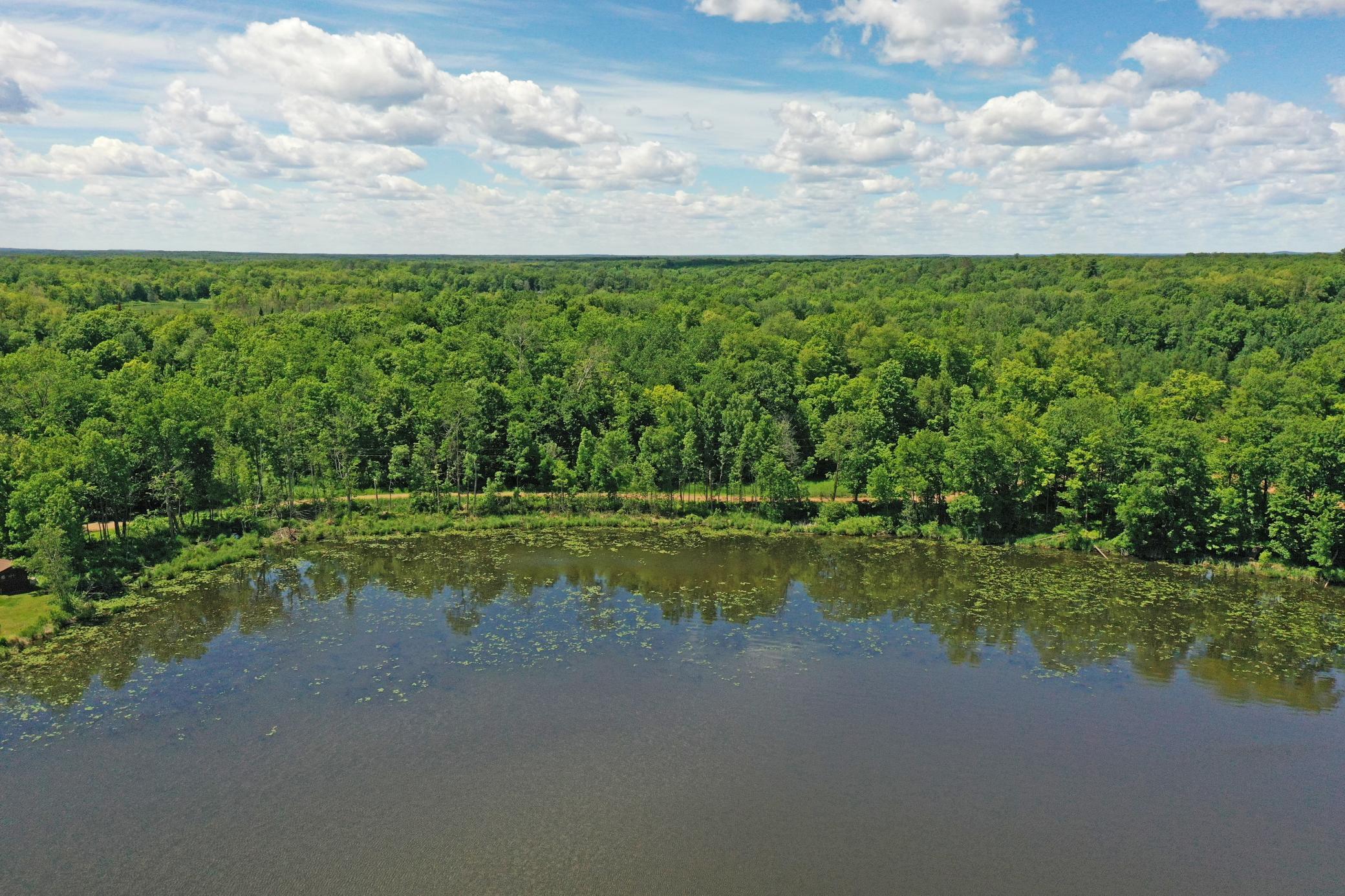 0 Perry Lake Road Crosby, MN 56441 - Photo 12 of 42