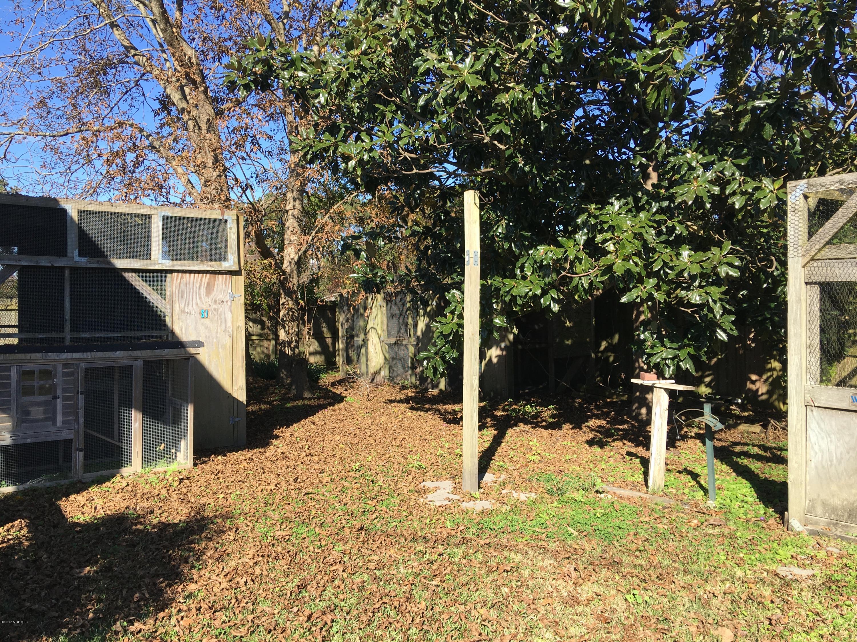 1312 Old Cherry Point Road New Bern, NC 28560 - Photo 74 of 80 Back yard, magnolia tree