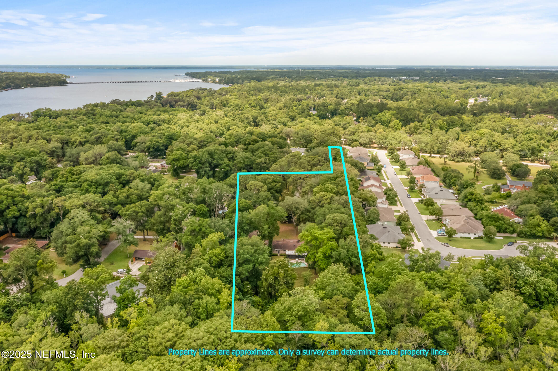 12657 Aladdin Road Jacksonville, FL 32223 - Photo 44 of 47 a view of a garden