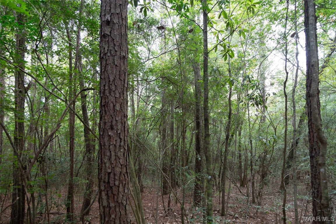 10 County Road 10 Samson, AL 36477 - Photo 19 of 22 Gallery Image 19