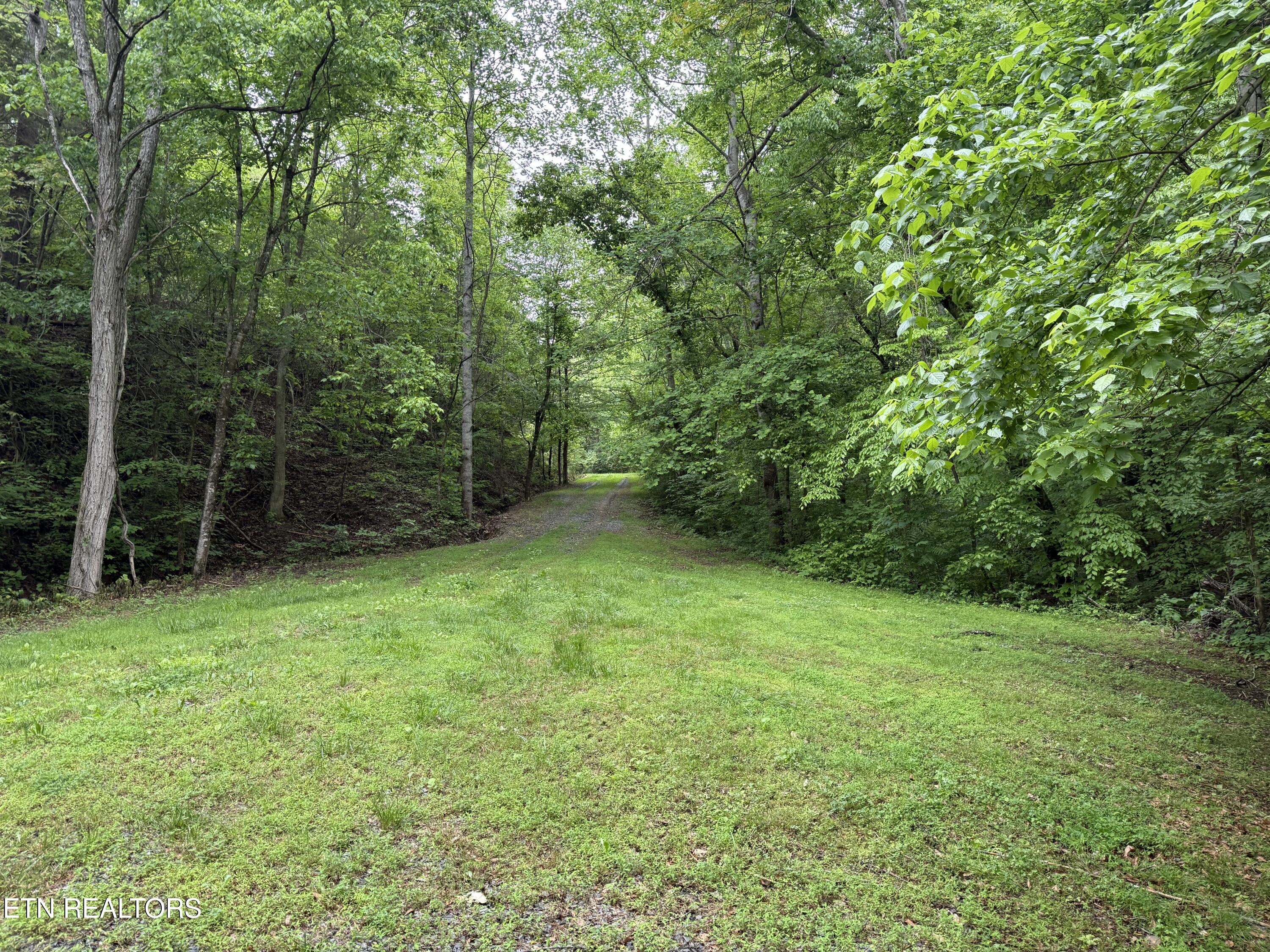1582 Romary Road Dandridge, TN 37725 - Photo 46 of 46 Private boat access point