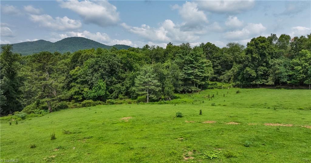 Tbd Caudill Road Glade Valley, NC 28627 - Photo 8 of 26 Gallery Image 8