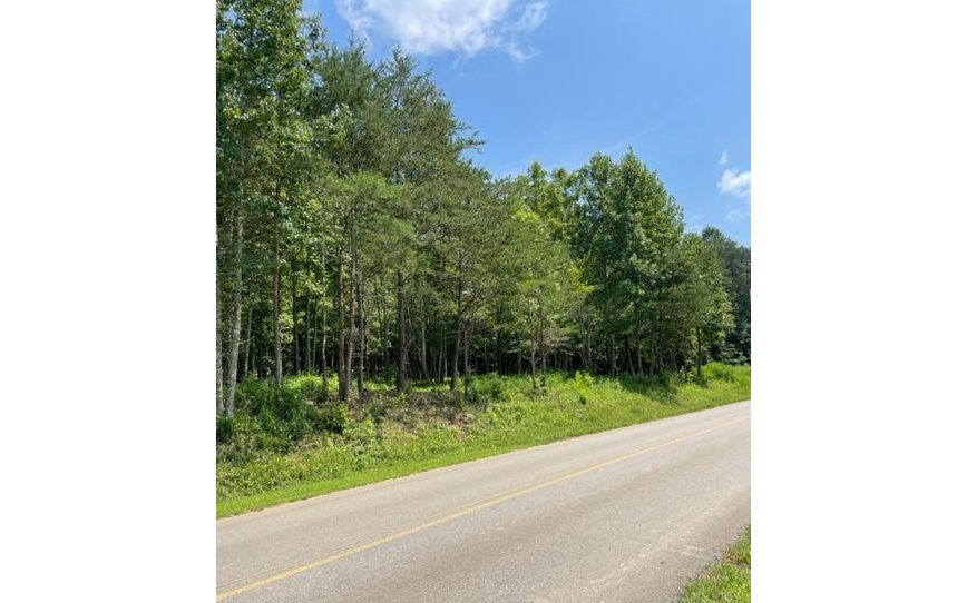 2923 Burnt Mountain Road Ellijay, GA 30536 - Photo 14 of 22 Additional View