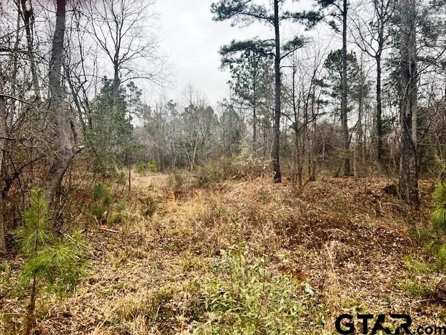 79 Highway 79 Jacksonville, TX 75766 - Photo 14 of 44