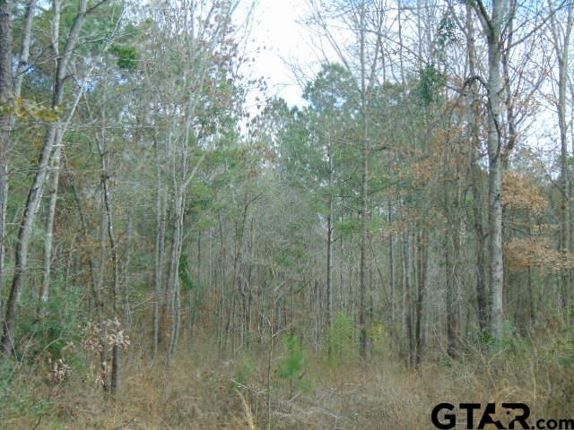 79 Highway 79 Jacksonville, TX 75766 - Photo 15 of 44