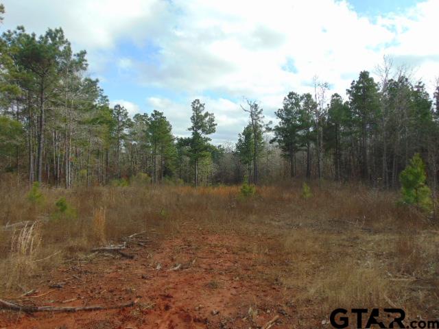 79 Highway 79 Jacksonville, TX 75766 - Photo 19 of 44