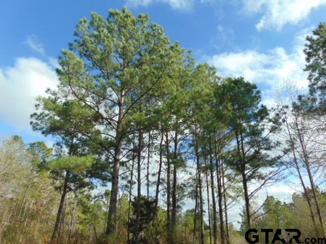 79 Highway 79 Jacksonville, TX 75766 - Photo 20 of 44