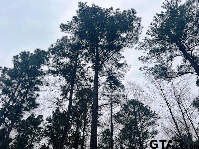 79 Highway 79 Jacksonville, TX 75766 - Photo 31 of 44