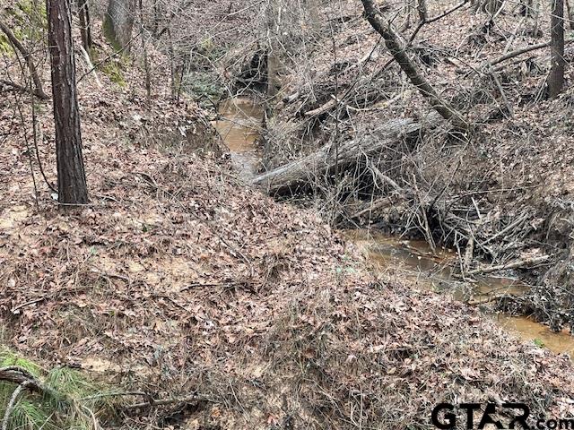 79 Highway 79 Jacksonville, TX 75766 - Photo 42 of 44