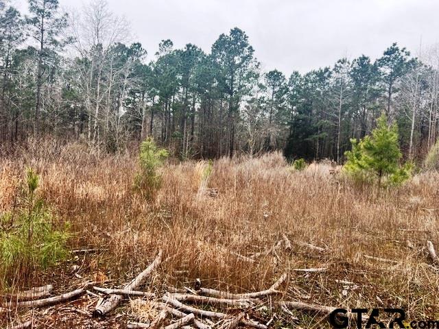 79 Highway 79 Jacksonville, TX 75766 - Photo 43 of 44