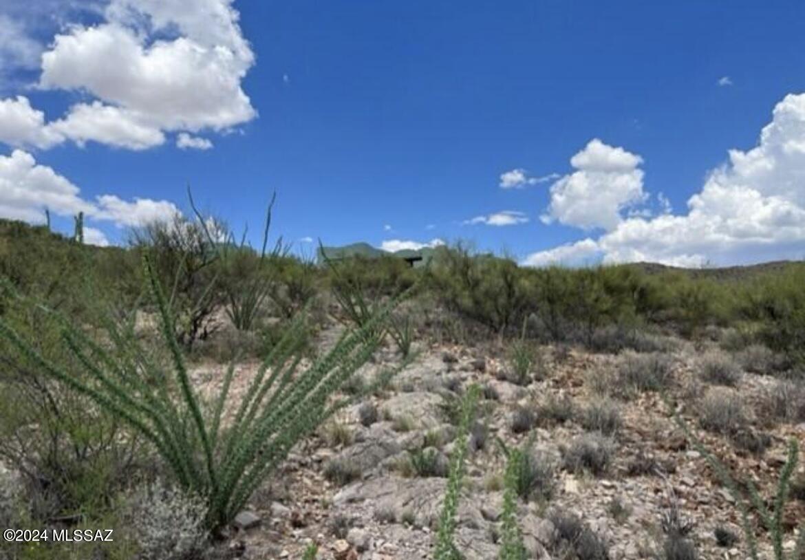 15575 East Colossal Cave Road Vail, AZ 85641 - Photo 8 of 23