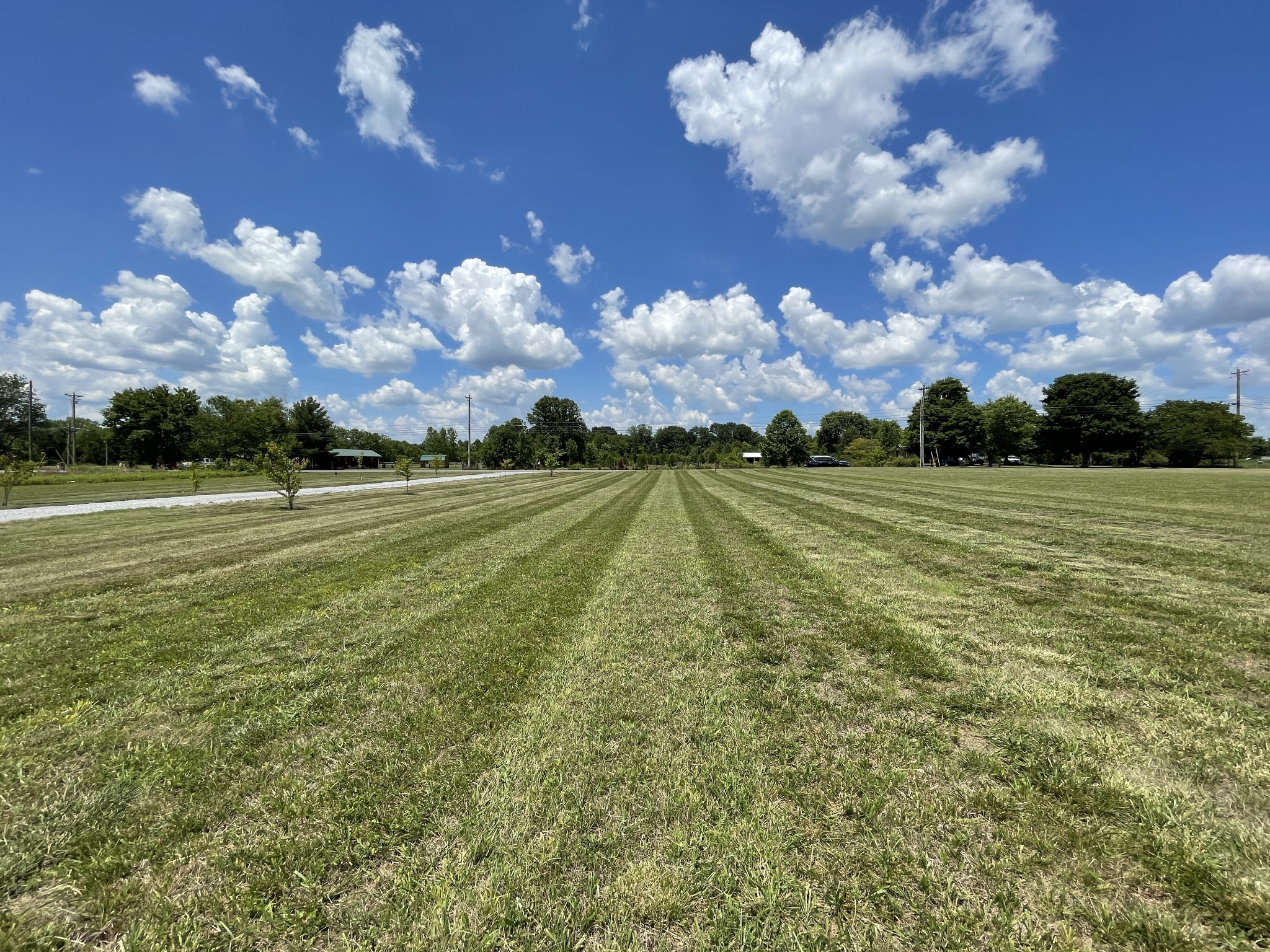 509 Lone Oak Road Mount Juliet, TN 37122 - Photo 47 of 50 Gallery Image 47